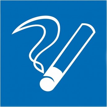 Наклейка информационный знак REXANT МЕСТО КУРЕНИЯ 200х200